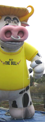 advertising balloon